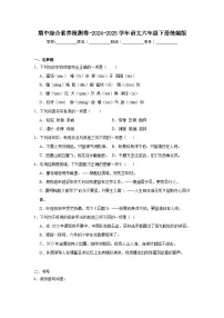 期中综合素养检测卷-2024-2025学年语文六年级下册统编版