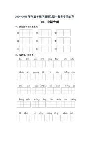 专项01 期中字词专项练2024-2025学年语文五年级下册 （统编版）