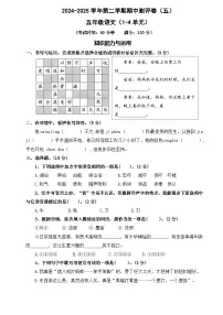 五年级下册语文 期中测评卷 五（试题+答案）2024-2025学年 统编版五年级下册