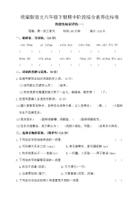 期中阶段综合素养达标卷-2024-2025学年统编版语文六年级下册