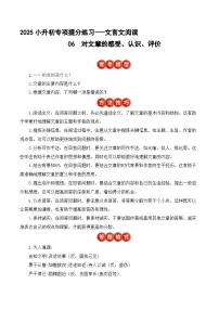 小升初文言文专题6 对文章的感受认识评价（题型分析+方法技巧+考点训练）2025小升初语文专项 统编