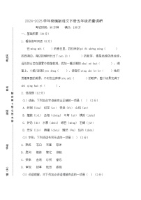 2025学年统编版语文下册五年级期中综合基础卷
