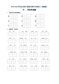 五年级下册语文期中备考01 字词专项练（知识梳理+专项练习+参考答案）2024-2025 统编版