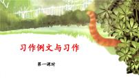 统编版（2024）三年级下册习作：奇妙的想象说课课件ppt