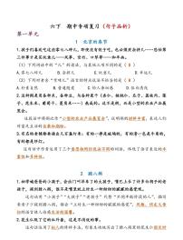 部编版6年级下册  语文期中复习练习含答案