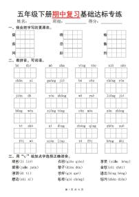 五年级下册语文期中复习基础达标练习卷