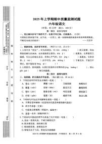 湖南省邵阳市洞口县2025年上学期期中质量监测试题六年级语文试卷