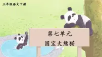 统编版（2024）三年级下册习作：国宝大熊猫备课ppt课件