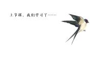 小学语文荷花教课ppt课件
