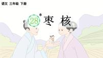 统编版（2024）三年级下册枣核课文ppt课件