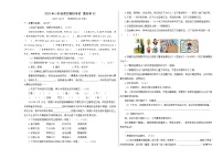 小升初语文模拟考试 提高卷02（考试A3版）2024-2025学年第二学期  统编版全国通用