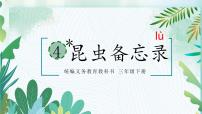 小学昆虫备忘录示范课ppt课件