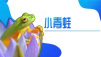 统编版（2024）一年级下册（2024）小青蛙背景图ppt课件