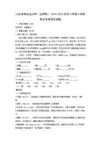 山东省烟台龙口市（五四制）2023-2024学年六年级下学期期末考试语文试卷（解析版）
