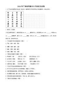 广东省河源市2024年统编版小升初考试语文试卷