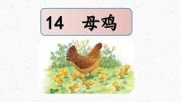 小学语文统编版（2024）四年级下册母鸡评课ppt课件