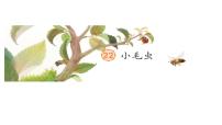 统编版（2024）二年级下册小毛虫说课课件ppt