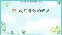 统编版（2024）三年级下册我们奇妙的世界教案配套ppt课件