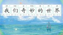 小学语文统编版（2024）三年级下册我们奇妙的世界教案配套课件ppt