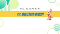小学语文统编版（2024）三年级下册我们奇妙的世界示范课课件ppt