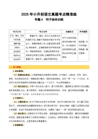 统编版2025年小升初语文备考真题分类汇编专题6 句子综合训练 （附参考答案）