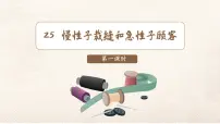 小学语文统编版（2024）三年级下册慢性子裁缝和急性子顾客备课ppt课件