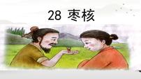小学语文统编版（2024）三年级下册枣核示范课ppt课件
