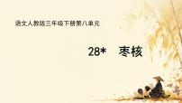 语文三年级下册枣核教课内容课件ppt