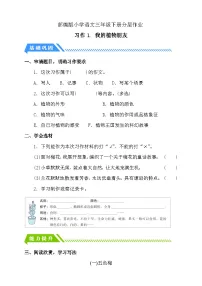 小学统编版（2024）习作：我的植物朋友一课一练