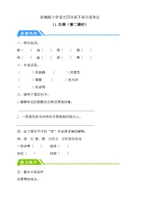 小学语文统编版（2024）四年级下册白桦第2课时精练