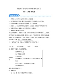小学统编版（2024）习作：家乡的风俗当堂检测题