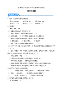 小学语文统编版（2024）六年级下册语文园地同步测试题