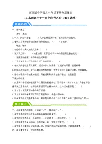 小学语文统编版（2024）六年级下册真理诞生于一百个问号之后第2课时一课一练