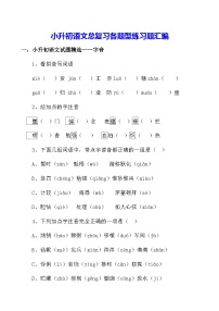 小升初语文总复习各题型练习题汇编（含答案）