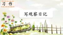 小学语文统编版（2024）四年级上册习作：写观察日记背景图课件ppt