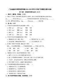 广东省惠州市博罗县罗阳镇2024-2025学年六年级下学期语文期中试卷