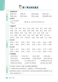 2025春小学语文《知识盘点》2年级下册学案含答案