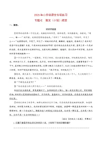 【复习篇】专项七 散文（小说）阅读-2025年小升初语文专项练习