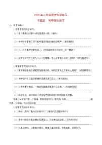 【复习篇】专项三 句子综合练习-2025年小升初语文专项练习