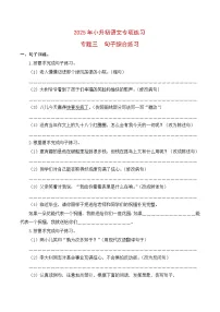 【复习篇】专项三 句子综合练习-2025年小升初语文专项练习