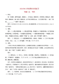 【复习篇】专项十三 写作-2025年小升初语文专项练习