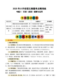 专题3词语（成语）理解与运用2025学年小升初语文备考真题分类汇编（统编版）