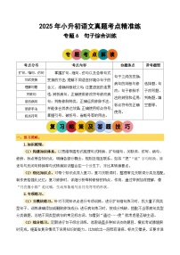 专题6句子综合训练2025学年小升初语文备考真题分类汇编（统编版）