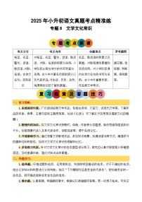 专题8文学文化常识2025学年小升初语文备考真题分类汇编（统编版）