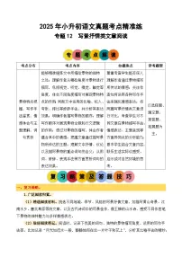 专题12写景抒情类文章阅读2025学年小升初语文备考真题分类汇编（统编版）