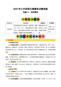 专题16诗词赏析2025学年小升初语文备考真题分类汇编（统编版）