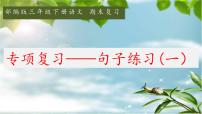 5.三年级下册句子复习一课件