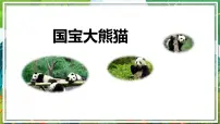 语文三年级下册习作：国宝大熊猫教学课件ppt