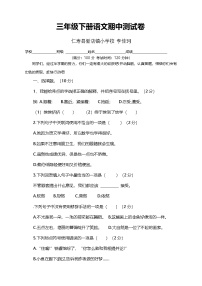 三年级下册期中语文练习（含答案）