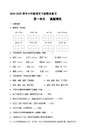六年级下册 第一单元真题模拟（原卷+解释）2024-2025学年第二学期语文期末复习备考（统编版）
